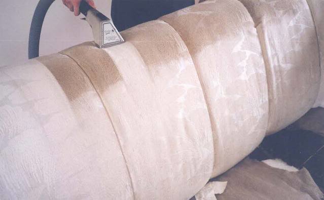 Professional upholstery and furniture cleaning in progress on a sofa by ALL Services of NC in Greensboro, NC