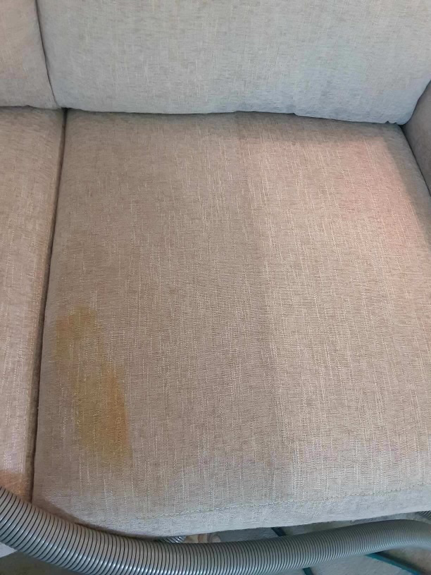 A close-up of a stained upholstery cushion being cleaned by Sanitary Rug Cleaners, Inc. in Birmingham, AL.