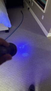 A UV light being used to detect hidden stains on a carpet, a service offered by Hi-Tech Carpet Cleaning in Elk Grove, CA.