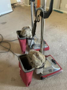 Professional vacuum cleaner bins overflowing with collected pet hair and debris after carpet cleaning by Steamex Carpet Cleaning Phoenix, AZ.