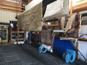 Various rugs of different sizes and patterns hanging to dry in the Rug Renew workshop in Spring Valley, CA.