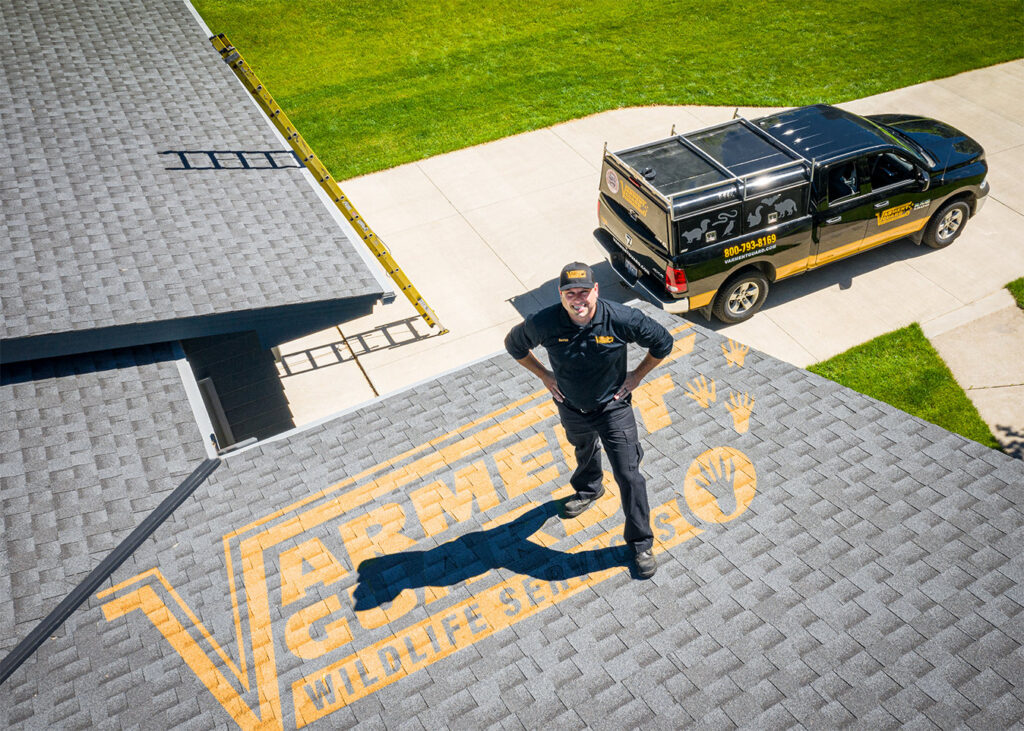 A Varment Guard technician standing on a residential roof with a company truck visible, indicating wildlife control services in Danville, IN.