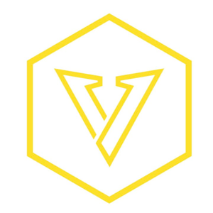 VASE Construction, LLC