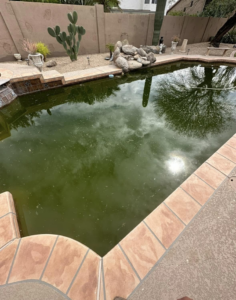 A very dirty, green pool before a professional cleaning service by Prime Pool Care in Satellite Beach, FL.