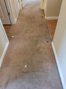 A very dirty hallway carpet with heavy stains and debris, awaiting cleaning by Vision Carpet Cleaning in Lexington, KY.