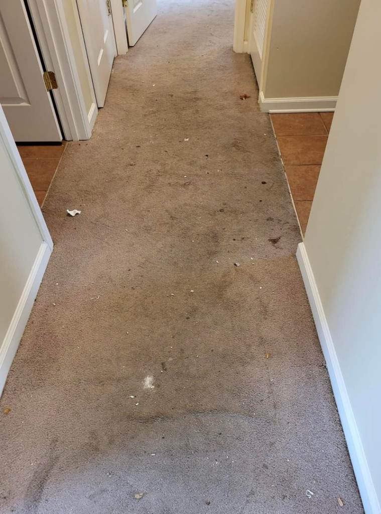A very dirty hallway carpet with heavy stains and debris, awaiting cleaning by Vision Carpet Cleaning in Lexington, KY.