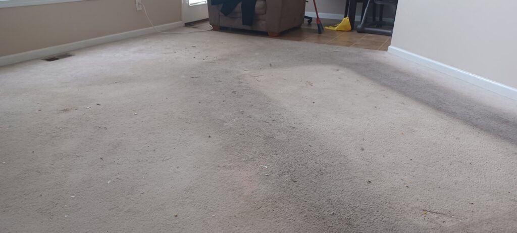 A very dirty living room carpet, showing the need for professional cleaning from Fletcher's Carpet Cleaning & Stretching in Knoxville, TN.