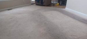 A very dirty living room carpet, showing the need for professional cleaning from Fletcher's Carpet Cleaning & Stretching in Knoxville, TN.