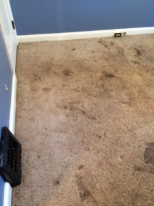 A very dirty and stained light brown carpet before professional cleaning by MC Carpet & Upholstery in St. Louis, MO.