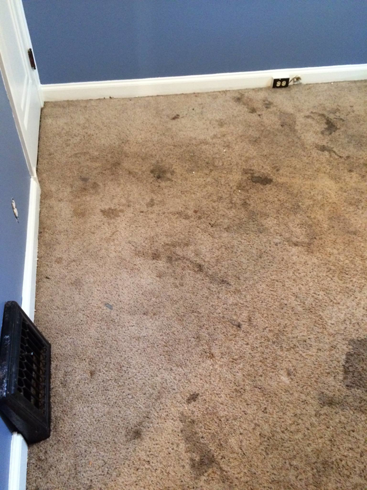 A very dirty and stained light brown carpet before professional cleaning by MC Carpet & Upholstery in St. Louis, MO.