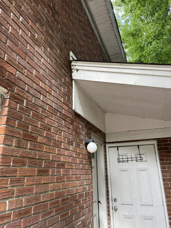 A visible bee nest under the eave of a brick building, awaiting extraction by A&E Bee Extraction and Control in Mount Pleasant, SC.