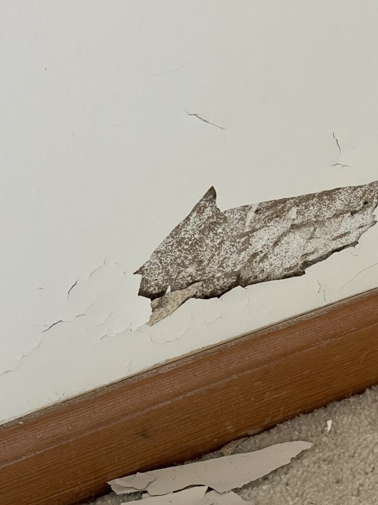 Damaged wall with peeling paint, indicating potential pest activity, inspected by Laser Pest Management, Inc. in Eudora, KS.