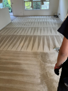 Professional wall-to-wall carpet cleaning with visible clean stripes by Emily's Auto Detailing & Carpet Cleaning LLC in Hammond, IN.