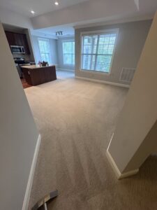 Professional wall-to-wall carpet cleaning in progress with visible clean lines by Tmz Magic Carpet Cleaning in West Hartford, CT.