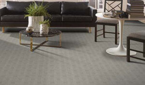 A modern living room featuring a newly installed wall-to-wall carpet by Carolina Carpet, Hardwood & Tile in Mount Pleasant, SC