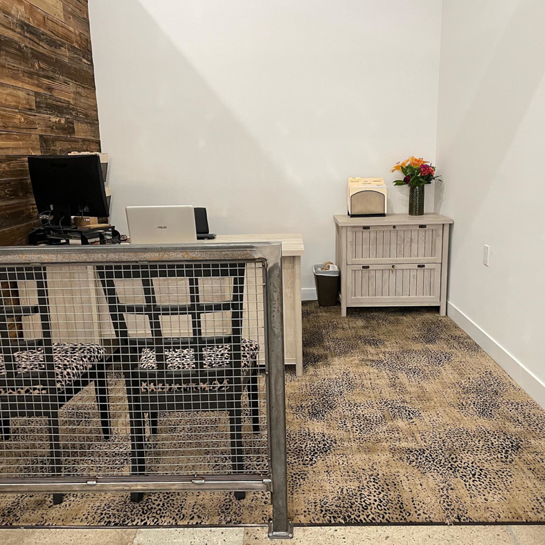 Wall-to-wall patterned carpet installed in a modern office area by CC&S Flooring in Salt Lake City, UT.