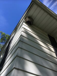 A large wasp or hornet nest located under the eaves of a house, indicating a pest control issue for Bug Bounty Hunters LLC in Akron, OH.