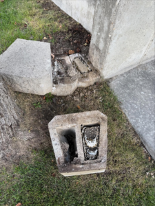 A wasp nest visible inside a concrete block on the ground, indicating a pest control issue for BAM Pest Control in Sandy, UT.