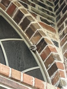 A wasp nest attached to a brick archway above a window, showing a pest problem for EcoShield Pest Solutions Fort Worth, TX.