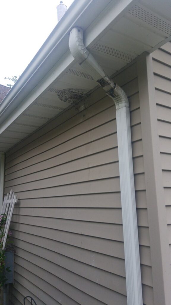 A wasp nest attached to the soffit of a house near a gutter, indicating a pest control service needed from Runnin'Bugz Lawn Care and Pest Solutions in Syracuse, NY.