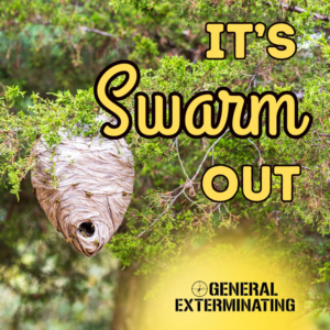 A large wasp nest hanging from a tree branch, indicating a pest control issue by General Exterminating in Beckley, WV.