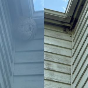 Before and after image of a large wasp nest removal service by ClearCut Pest Control Inc. in High Point, NC.