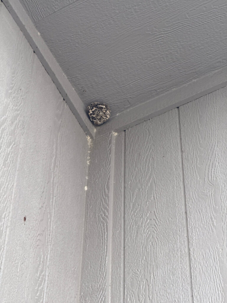 A wasp nest found under the eave of a house, indicating a pest control need for Upfront Pest in North Kansas City, MO.