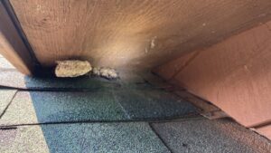 A wasp nest found under a roof overhang, indicating pest control services by NiceBats.com in Sioux Falls, SD.