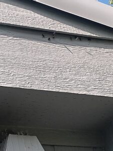 Wasps or hornets nesting under the eaves of a house, a pest problem handled by Pest One in Bozeman, MT.