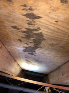 Water damage and mold visible on a wooden subfloor, a common issue addressed by Brandon Mcgowan in Little Rock, AR.