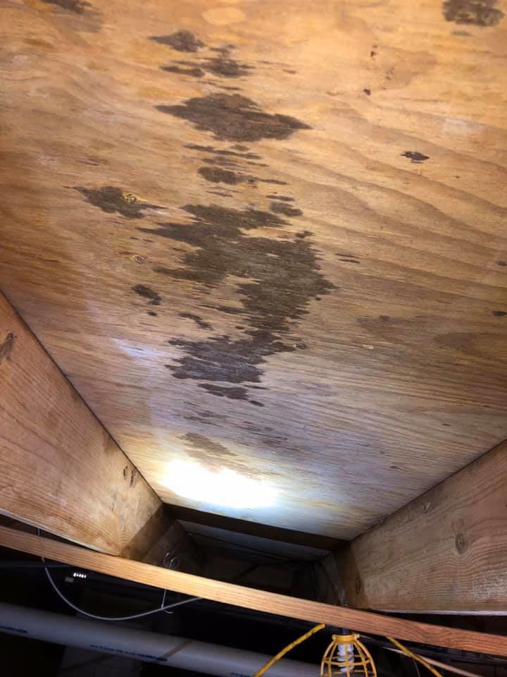 Water damage and mold visible on a wooden subfloor, a common issue addressed by Brandon Mcgowan in Little Rock, AR.
