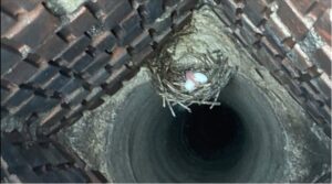 A weathered brick chimney with a metal cap on a residential roof, inspected by Chimney Mechanix of Indiana in Lafayette, IN.