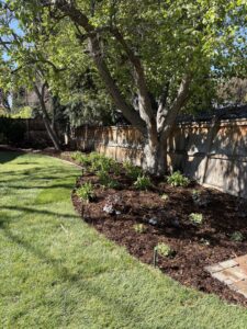 A beautifully well-maintained backyard lawn and garden, showcasing the quality work of Grow Green Irrigation Svc in Brighton, CO.