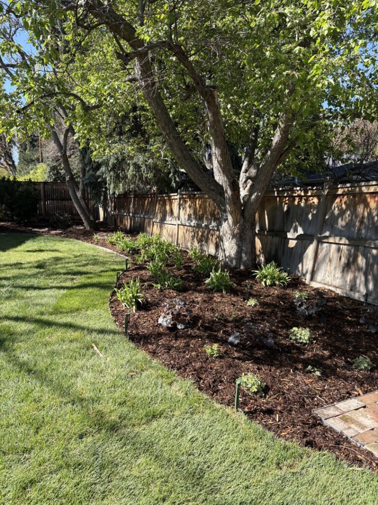 A beautifully well-maintained backyard lawn and garden, showcasing the quality work of Grow Green Irrigation Svc in Brighton, CO.