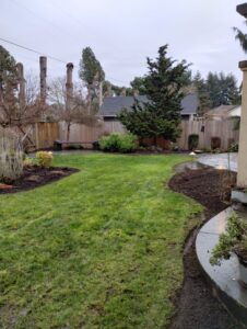 A beautifully maintained backyard with green grass and mulched garden beds by Tony's Lawn Care Services in Greenville, SC.