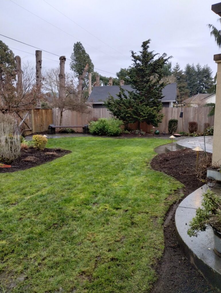 A beautifully maintained backyard with green grass and mulched garden beds by Tony's Lawn Care Services in Greenville, SC.
