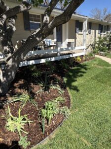 A beautifully well-maintained front yard lawn and garden, showcasing the quality work of Grow Green Irrigation Svc in Brighton, CO.