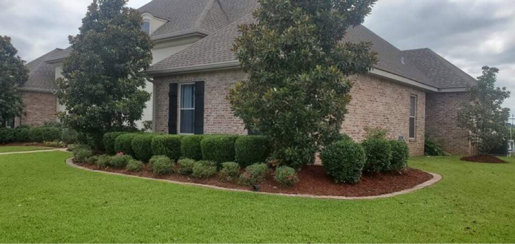 A beautifully well-maintained front yard with fresh mulch and trimmed shrubs by Cenla Lawn Pros in Alexandria, LA