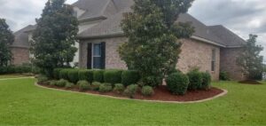 A beautifully well-maintained front yard with fresh mulch and trimmed shrubs by Cenla Lawn Pros in Alexandria, LA