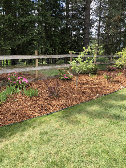 A beautifully mulched garden bed with small plants and a lush green lawn, showcasing the quality work of Cowboy Cutting LLC in Spokane, WA.