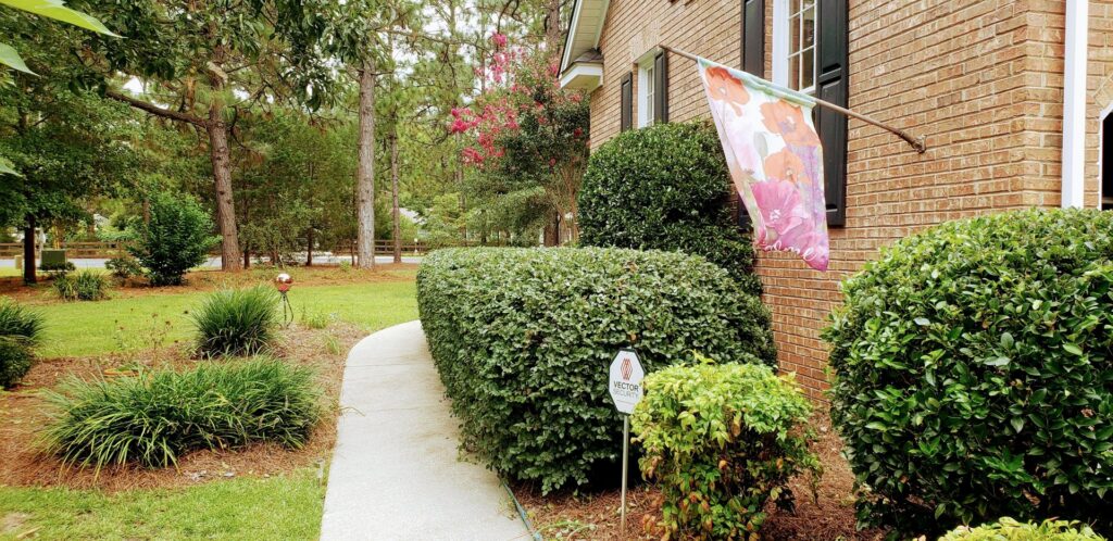 A neatly trimmed hedge and clean pathway alongside a brick house, maintained by Liberty LAWN Care in Sumter, SC.