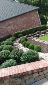 A well-maintained landscape bed with neatly trimmed shrubs and decorative rocks by GAMAS Lawn Care Services in Tulsa, OK.