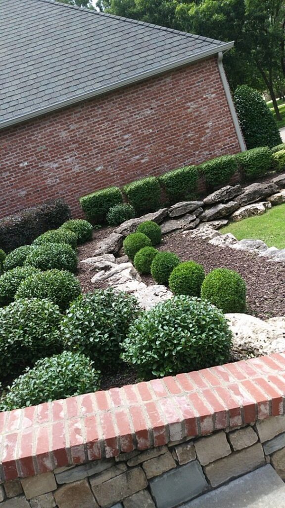 A well-maintained landscape bed with neatly trimmed shrubs and decorative rocks by GAMAS Lawn Care Services in Tulsa, OK.