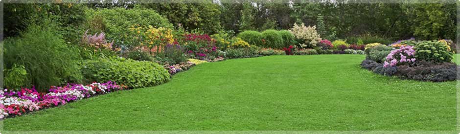 A beautifully well-maintained lawn with a vibrant landscaped border by Kustom Lawn Kare LLC in Greenwood, IN.