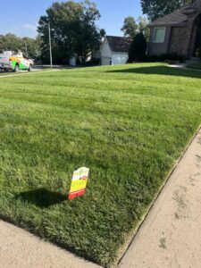 A lush, well-maintained residential lawn with a Pro Turf & Pro Pest Solutions sign and truck in Omaha, NE.