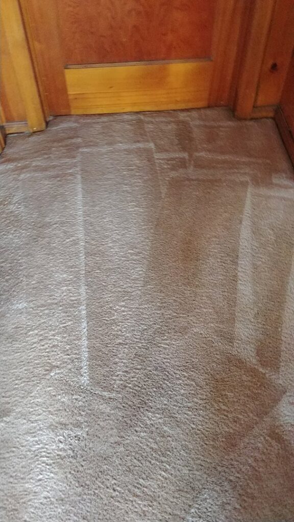 Wet carpet showing cleaning patterns after professional service by Rocky Mountain Rug Rescue in Laramie, WY