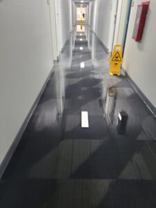 A long hallway with wet carpet and a 'wet floor' sign, indicating recent cleaning by Leo's Carpet Cleaning in Omaha, NE