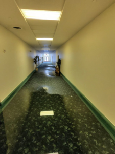 A long hallway with a dark green patterned carpet visibly damaged by water, ready for restoration by John's Pro-Clean Carpet Cleaning in Lansing, MI.
