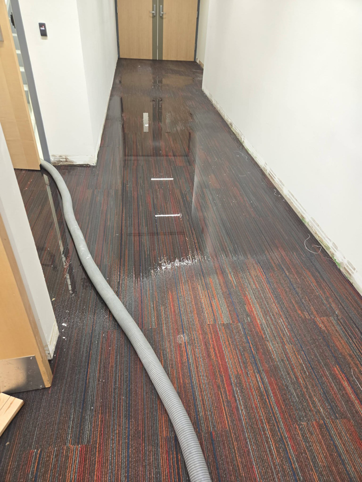 Wet carpet tiles in a hallway with a water extraction hose, serviced by Aardvark Dean Of Clean in Nashua, NH.