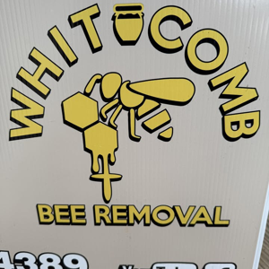 Whitcomb Bee Removal